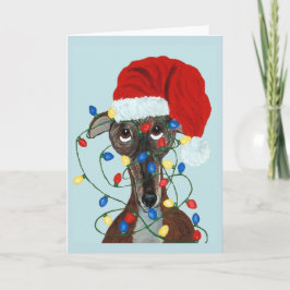 Greyhound Santa in de knoop met kerstlichtjes