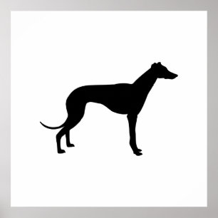 Greyhound Silhouette Poster