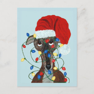 Greyhound Sint verstrikt in kerstlichtjes Briefkaart