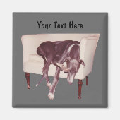 Greyhound Slapen In Stoel Grappige Magneet (Voorkant)