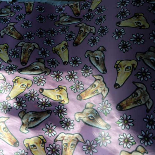 Greyhound Snoots Inpakpapier Vel