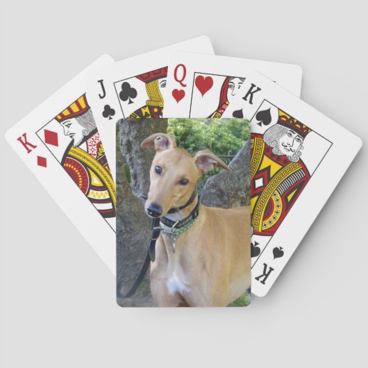 Greyhound speelkaarten (5) (Achterkant)