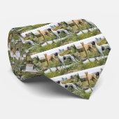 Greyhound stropdas (Opgerold)