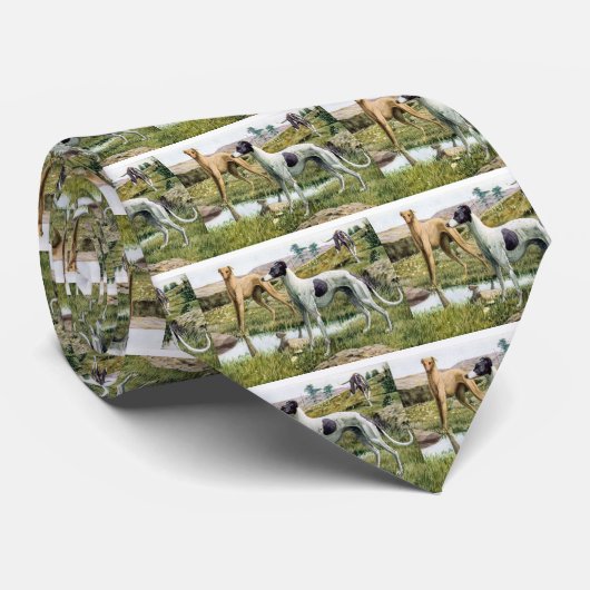 Greyhound stropdas (Opgerold)