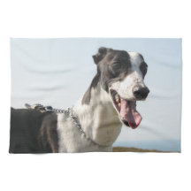 Greyhound teatowel - Handsome Boy P4