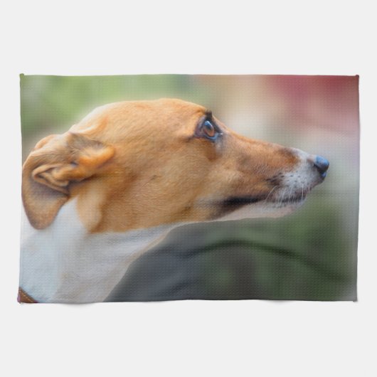 Greyhound teatowel, meisje P2 Theedoek (Horizontaal)