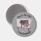 Greyhound This Is The Life  Magneet (Voorkant / Achterkant)