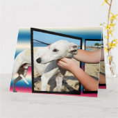 Greyhound Three Dimensional Big Wenskaart Kaart (Gele Bloem)