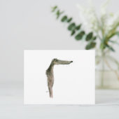 Greyhound, tony fernandes briefkaart (Staand voorkant)