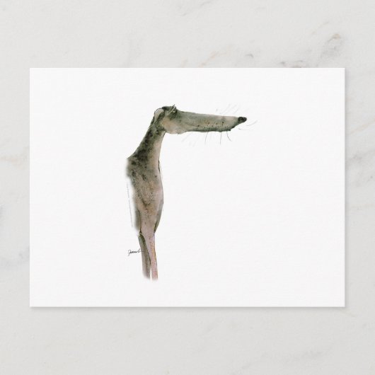 Greyhound, tony fernandes briefkaart (Voorkant)