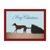 Greyhound trekt een kerstboom door de sneeuw