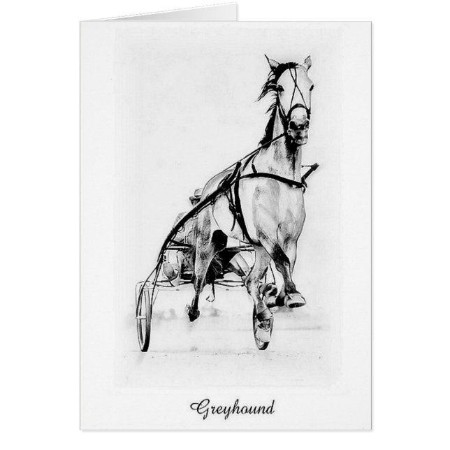 Greyhound Trotter (Voorkant)