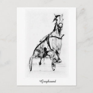 Greyhound Trotter Briefkaart