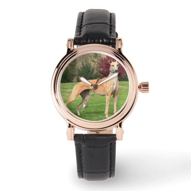 Greyhound Watch Horloge (Voorkant)