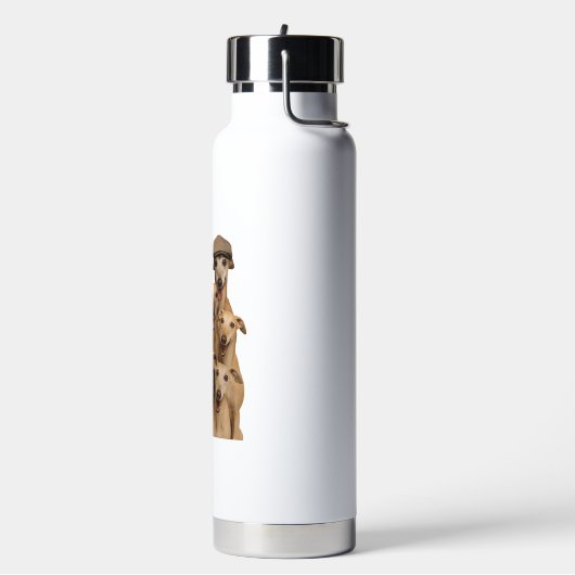 Greyhound Waterfles (Links)