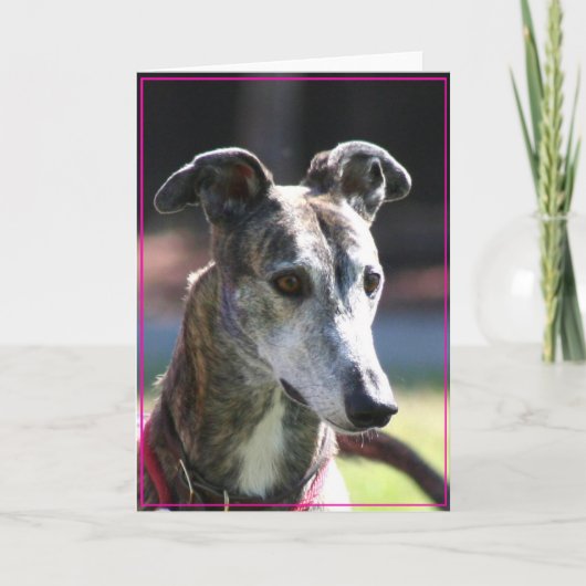 Greyhound-wenskaart Kaart (Voorkant)