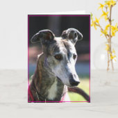 Greyhound-wenskaart Kaart (Gele Bloem)
