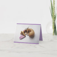 Greyhound Whippet Fawn Angel Kaart