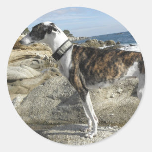 Greyhoundfoto's Stickers