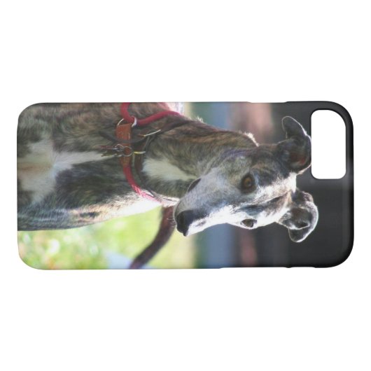 Greyhoundhond Case-Mate iPhone Case (Achterkant (Horizontaal))
