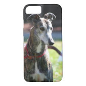 Greyhoundhond Case-Mate iPhone Case (Achterkant)