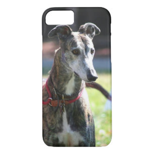 Greyhoundhond iPhone 8/7 Hoesje