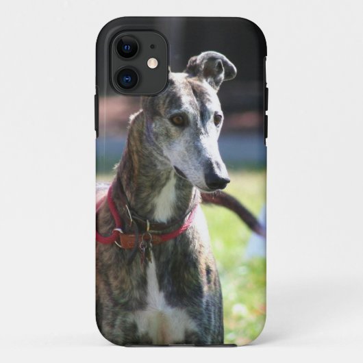 Greyhoundhond Case-Mate iPhone Case (Achterkant)