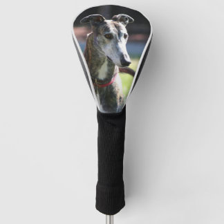 Greyhoundhond Golfheadcover