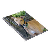 Greyhoundnotebook (P003) Notitieboek (Rechterzijde)