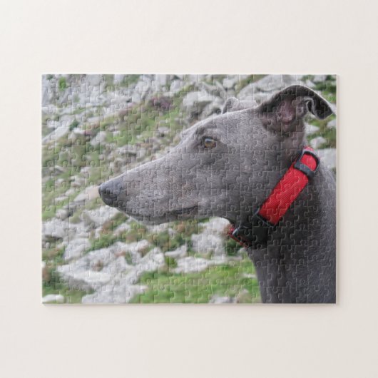 Greyhoundpuzzle (p105) Casey Legpuzzel (Horizontaal)