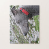 Greyhoundpuzzle (p105) Casey Legpuzzel (Verticaal)