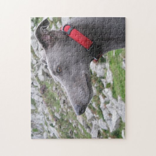 Greyhoundpuzzle (p105) Casey Legpuzzel (Verticaal)