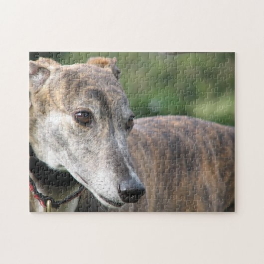 Greyhoundpuzzle (p401) Alice Legpuzzel (Horizontaal)
