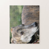 Greyhoundpuzzle (p401) Alice Legpuzzel (Verticaal)