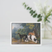 Greyhounds en Mastiff van Sawory Gilpin Briefkaart (Staand voorkant)