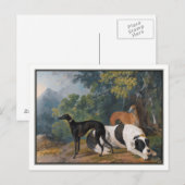 Greyhounds en Mastiff van Sawory Gilpin Briefkaart (Voorkant / Achterkant)