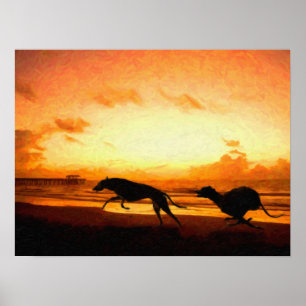 Greyhounds op strand poster