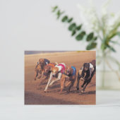 Greyhounds rennen op pad briefkaart (Staand voorkant)