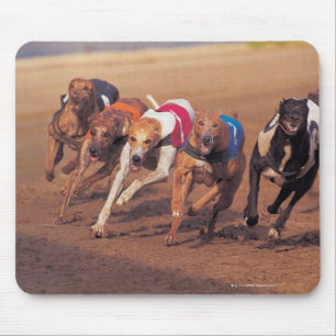Greyhounds rennen op pad muismat