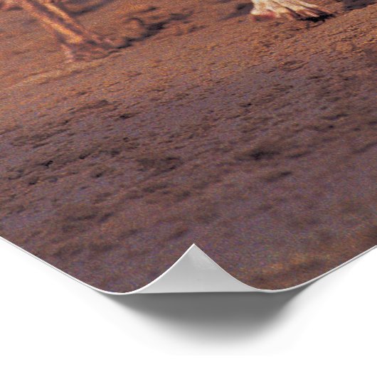 Greyhounds rennen op pad poster (Hoek)