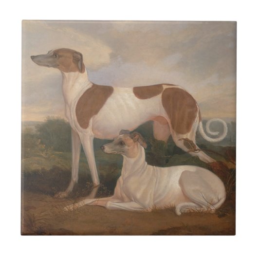 greyhounds tegeltje (Voorkant)
