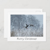 Greylag ganzen in besneeuwd landschap kerstkaart. feestdagenkaart (Voorkant / Achterkant)