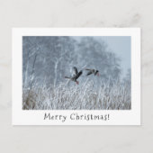 Greylag ganzen in besneeuwd landschap kerstkaart. feestdagenkaart (Voorkant)