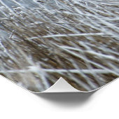 Greylag ganzen vliegen in sneeuw poster (Hoek)