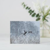 Greylag ganzen vliegen in sneeuwlandschap briefkaa briefkaart (Staand voorkant)