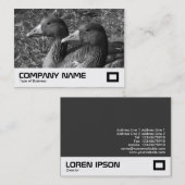 Greylag Geese B&W Visitekaartje (Voorkant / Achterkant)