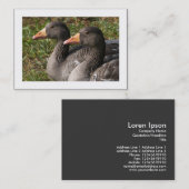 Greylag Geese (Grenzen) Visitekaartje (Voorkant / Achterkant)