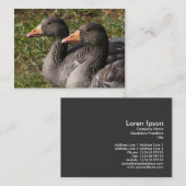 Greylag Geese Visitekaartje (Voorkant / Achterkant)