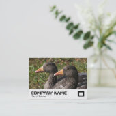 Greylag Geese Visitekaartje (Staand voorkant)