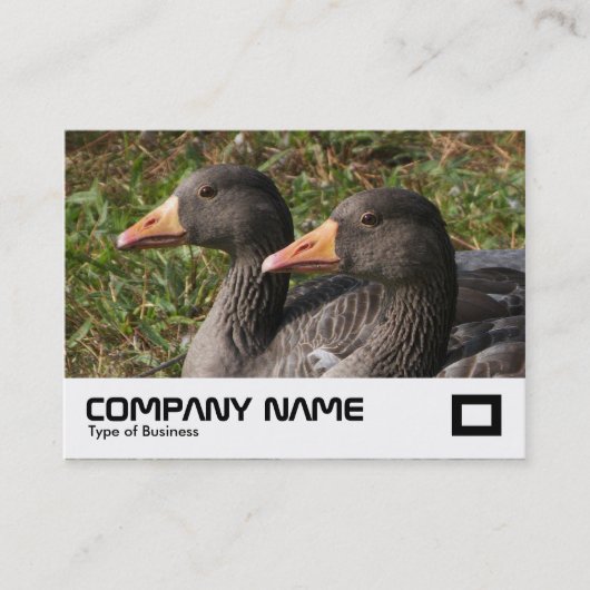 Greylag Geese Visitekaartje (Voorkant)